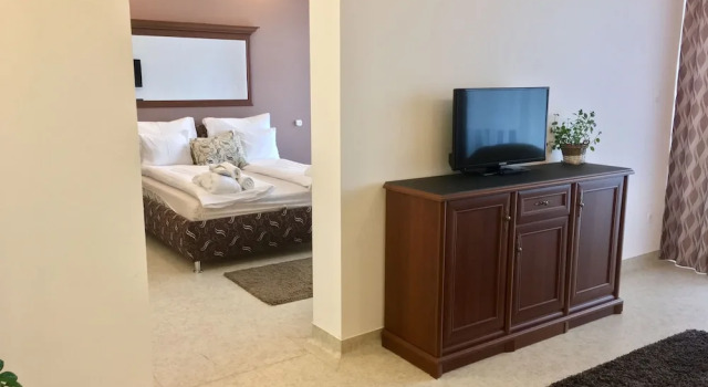 Апартаменты Deluxe с балконом и с видом на озеро Garden Hotel Medical & Spa