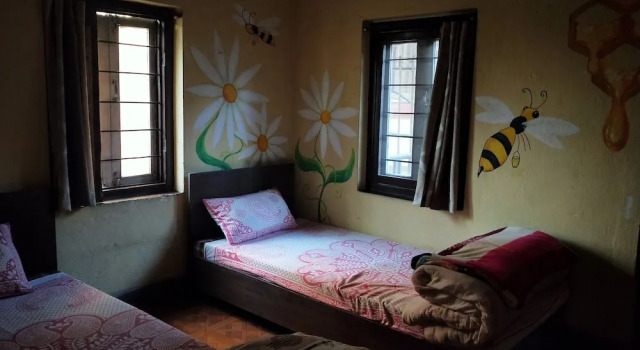 Номер Standard The Nepali Hive