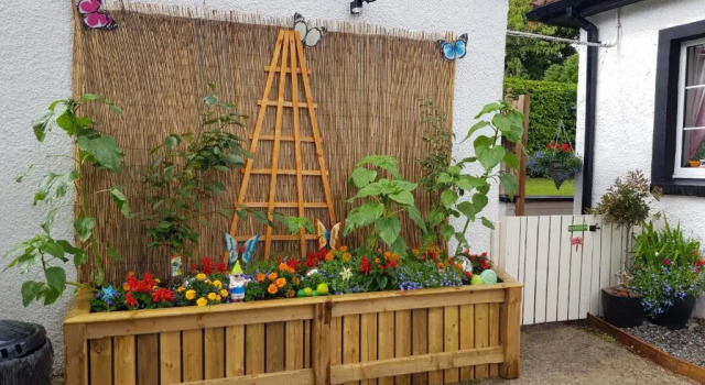 Студия Nanny's little highland hoose
