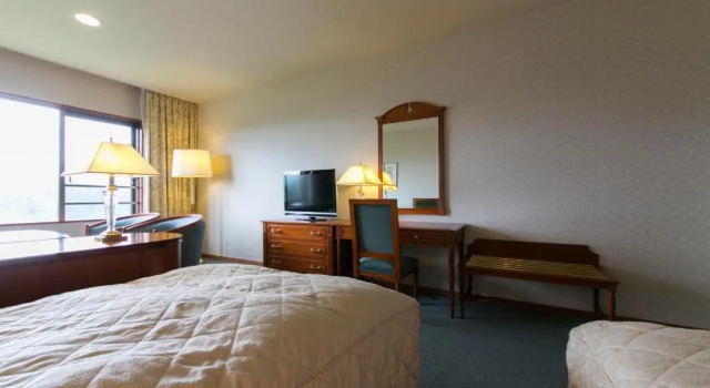 Двухместный номер Deluxe Skypark Hotel In Kurumayama