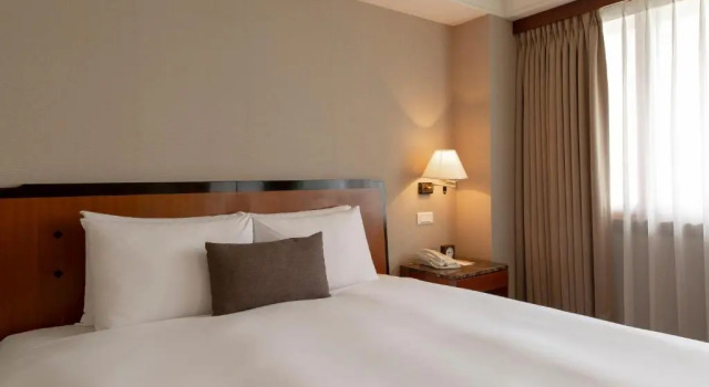 Двухместный номер Deluxe Hotel National