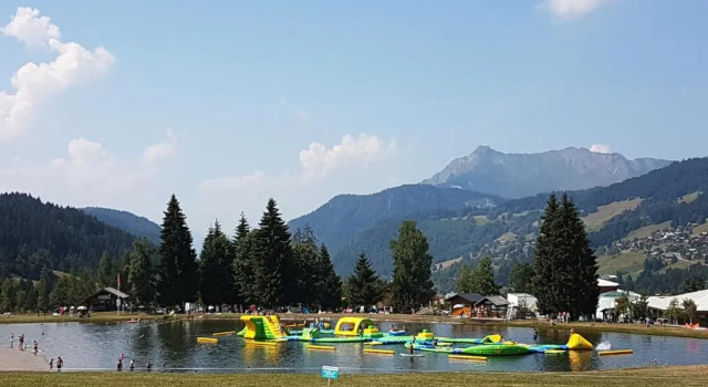 Апартаменты Цокольный этаж Praz-du-Soleil F3