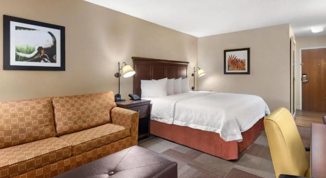 Двухместный номер Premium Hampton Inn Dallas Irving Las Colinas