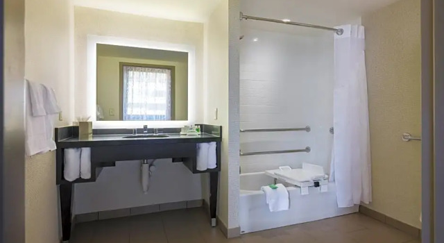 Двухместный номер Premium Holiday Inn Washington Capitol-National Mall by IHG