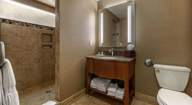 Двухместный люкс Standard Comfort Suites Green Bay West