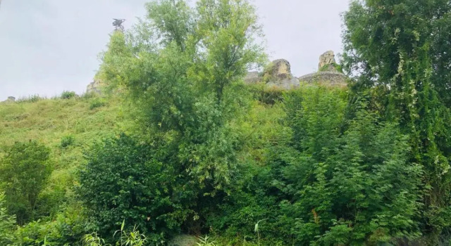 Номер Standard Castle View 2