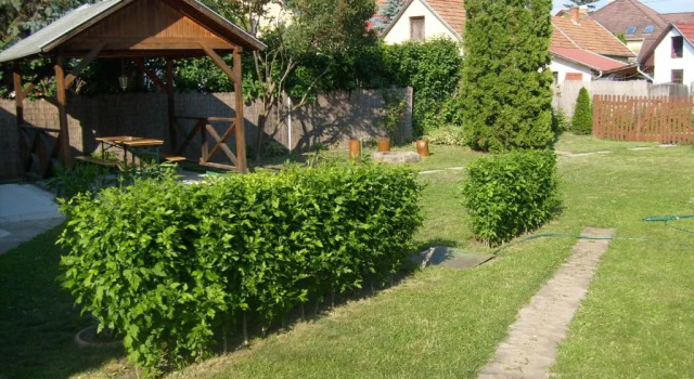 Otthon Apartman, Забронировать Апартаменты/квартира Апартаменты Хайдусобосло, рядом с Hajdúszoboszló Folk House and Museum, Апартаменты/квартира