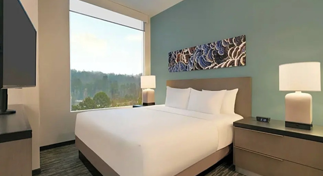 Двухместный Kitchen Suite c 1 комнатой Hyatt House Atlanta / Perimeter Center