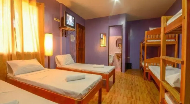 Кровать в общем номере OYO 622 Butterfly Totem Guesthouse