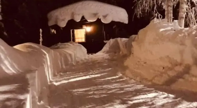 Двухместный семейный номер Standard Sæteråsen Hytter & Camping Trysil