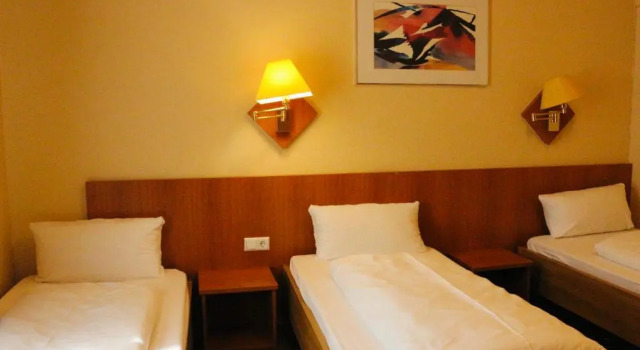 Трёхместный номер Standard Hotel CityRing