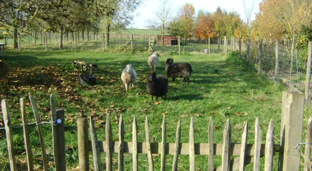 Коттедж Gîte les Mineurs