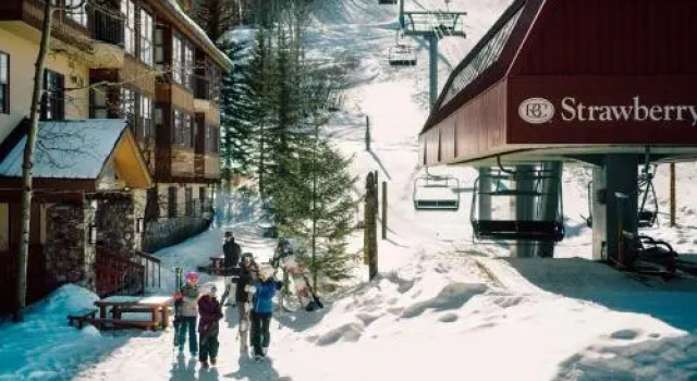 Elkhorn 509
