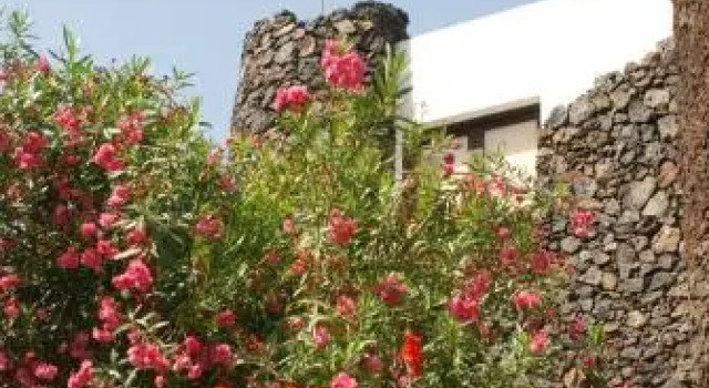 Finca Wapa