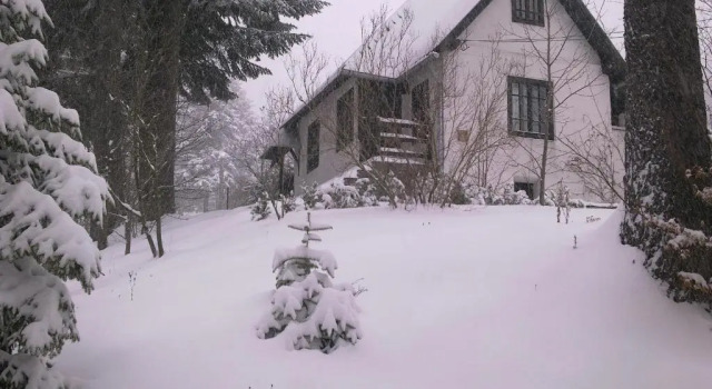 Коттедж Casa Gabriela