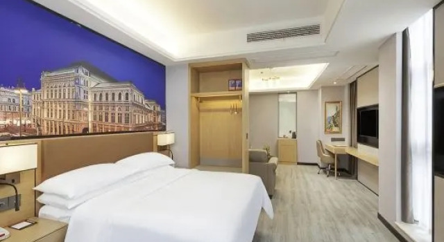 Люкс Deluxe Vienna Hotel (Shangrao high speed railway station store)
