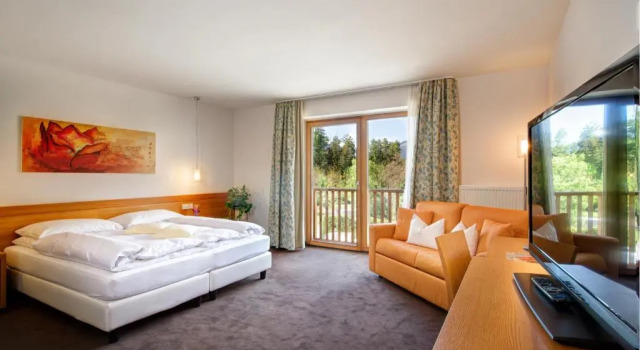 Двухместный номер Garden Comfort Garden Park Hotel