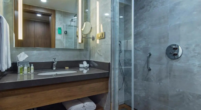 Двухместный номер Hilton Garden Inn Yalova
