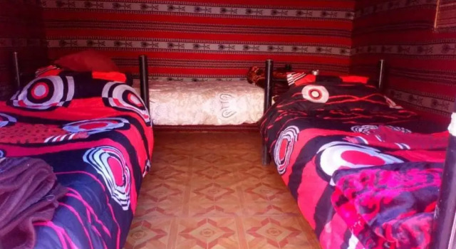 Telt Bedouin Experience Camp