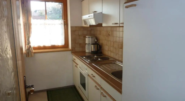 Апартаменты c 1 комнатой с балконом Haus Moosanger - Wildschönau Premium Card inklusive