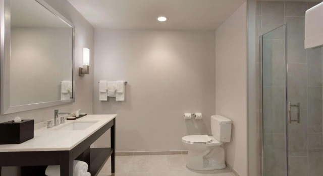 Двухместный люкс c 1 комнатой Embassy Suites by Hilton Kansas City Olathe