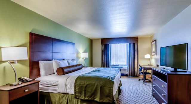 Двухместный номер Standard Cobblestone Inn & Suites - Waverly