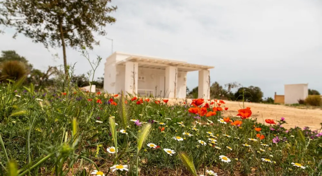 Superior- suite med haveudsigt Masseria Scaledda