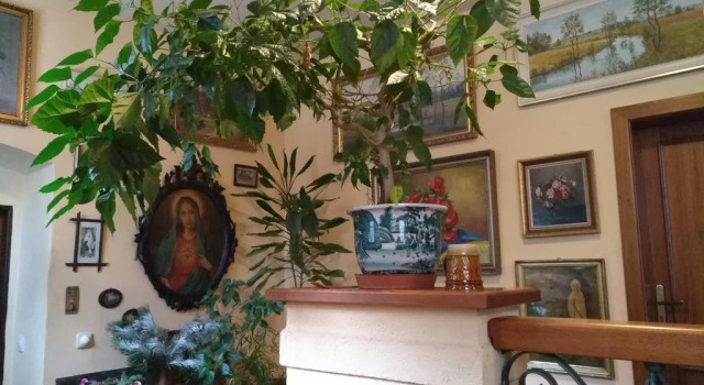 Guest House U Zámku, Rezerwuj Pensjonat Tanie hotele w Kraj pardubicki