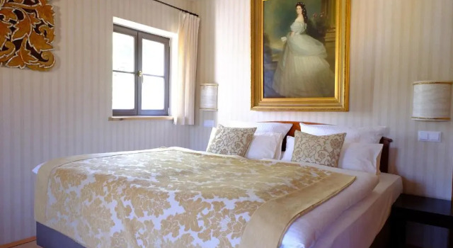 Двухместный номер Superior Hotel Schlossresidenz Heitzenhofen