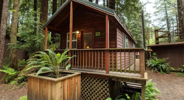 Номер Standard Emerald Forest Cabins
