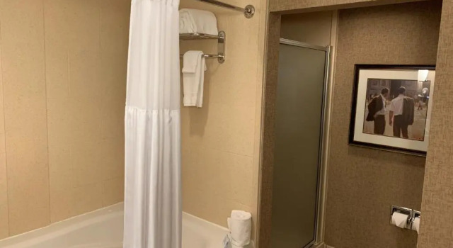 Люкс Hilton Garden Inn Columbus Edinburgh