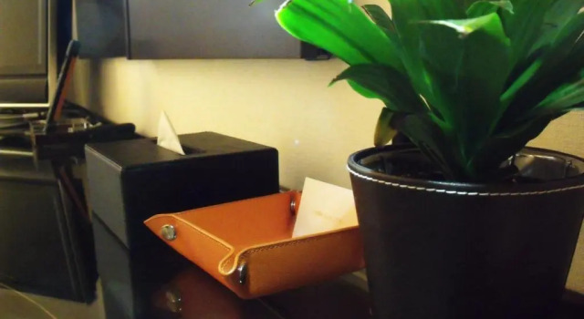 Одноместный номер Standard Hotel Tenjin Place