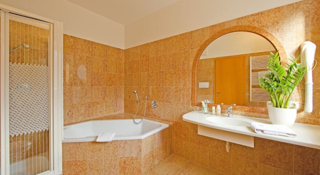 Двухместный номер Economy Hotel Tyrol