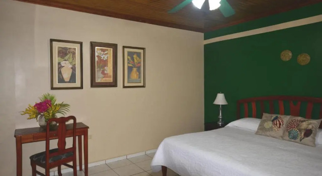 Трёхместный номер Standard с красивым видом из окна Seagrape Plantation Resort & Dive Center