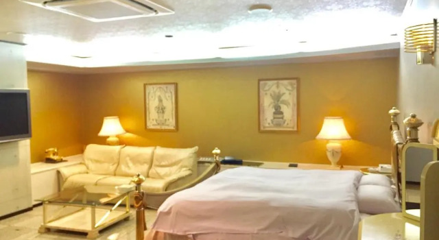 Номер Deluxe Hotel Ritz Koshien