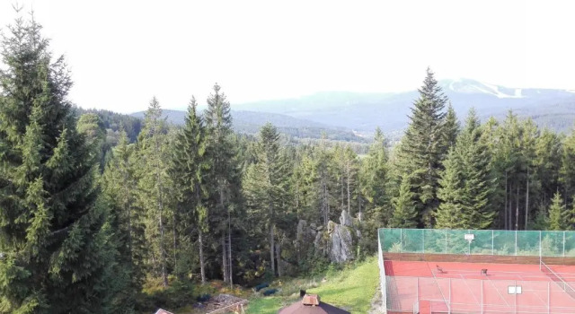 Семейный номер Standard Hotel Gradl