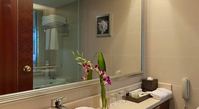 Двухместный номер Standard Times Plaza Shenyang