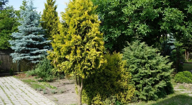 Студия Apartamenty z klimatem