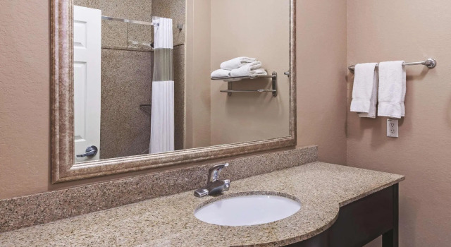 Двухместный номер Standard La Quinta by Wyndham Pearland