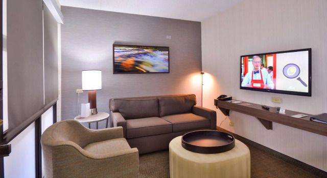 Четырёхместный номер Standard Embassy Suites by Hilton Denver Central Park