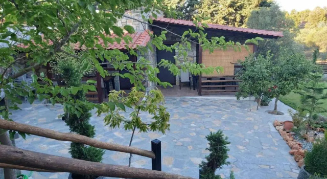 dimitris' villas - villa 2, Book Villa Ormos Panagias 
