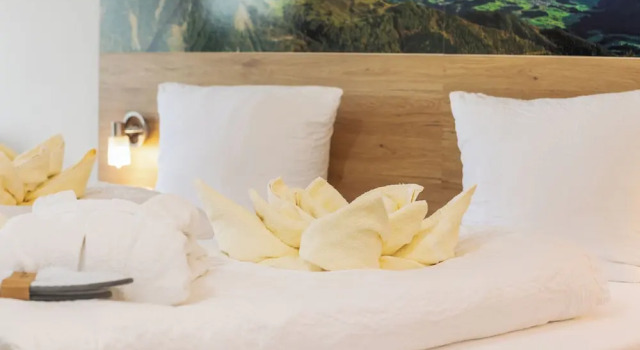 Одноместный номер Comfort с видом на горы Alpenhotel Dachstein