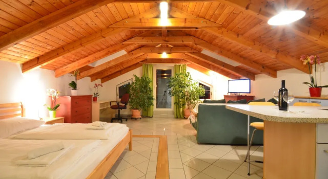 Люкс Deluxe AJO Apartments - Alte Donau Lake or Garden View Balcony Studio - Self-Check-in