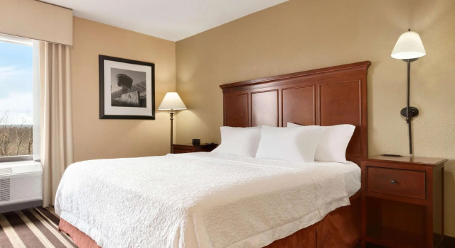 Двухместная студия Hampton Inn Washington-Dulles Int'l Airport South