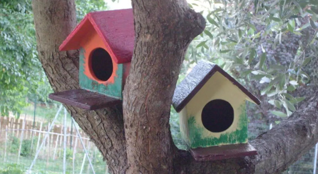 Номер Standard Farm stay Agriturismo la Borgaccia
