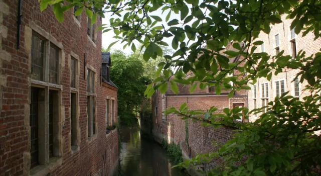 Guest House Feliz, Réserver Maison d'hôtes Maisons d'hôtes à Flanders, Maison d'hôtes