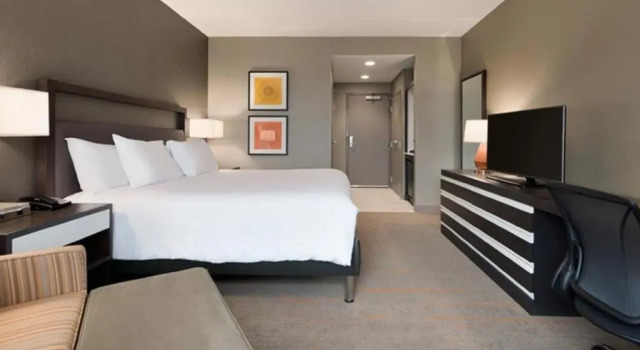 Одноместный люкс Hilton Garden Inn Rochester - University & Medical Center
