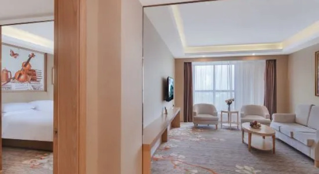 Люкс Deluxe Vienna International Hotel (Hengshui Zaoqiang)