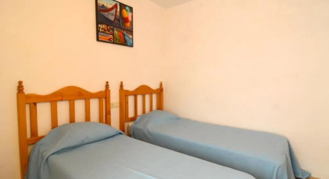 El COTO C 101