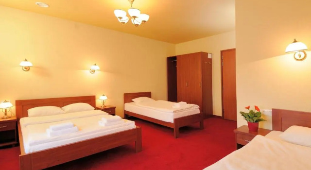 Двухместный номер Economy Мансарда Hotel Na Błoniach
